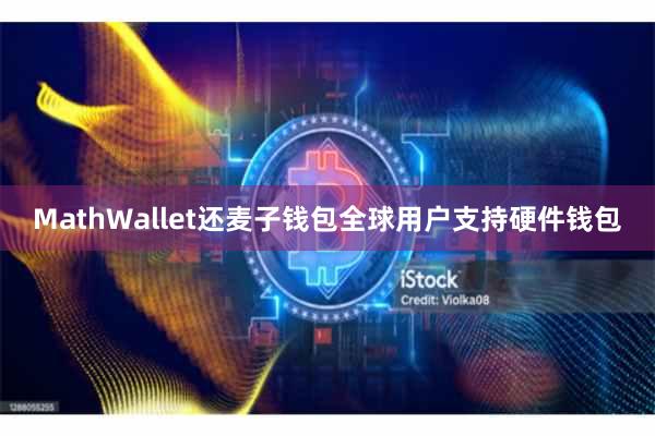 MathWallet还麦子钱包全球用户支持硬件钱包