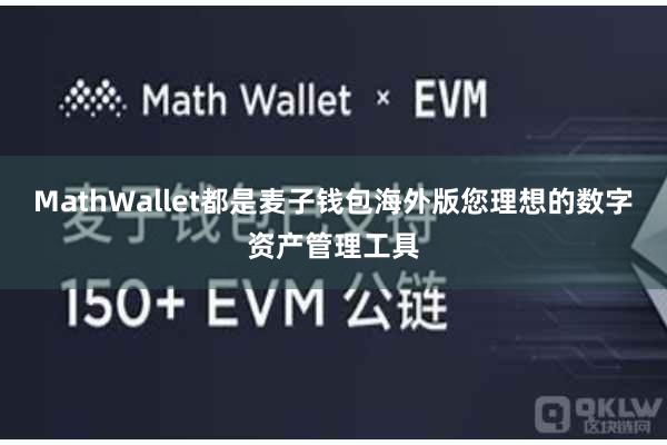 MathWallet都是麦子钱包海外版您理想的数字资产管理工具