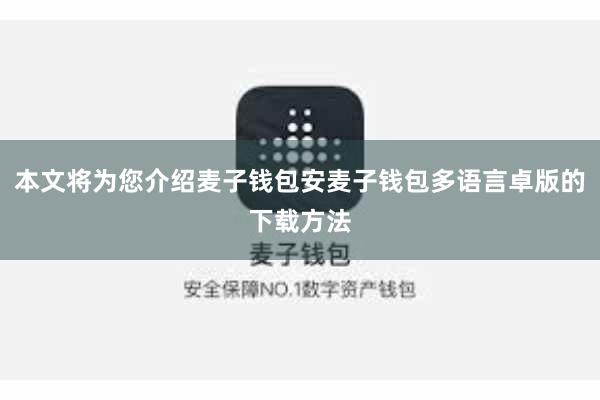 本文将为您介绍麦子钱包安麦子钱包多语言卓版的下载方法