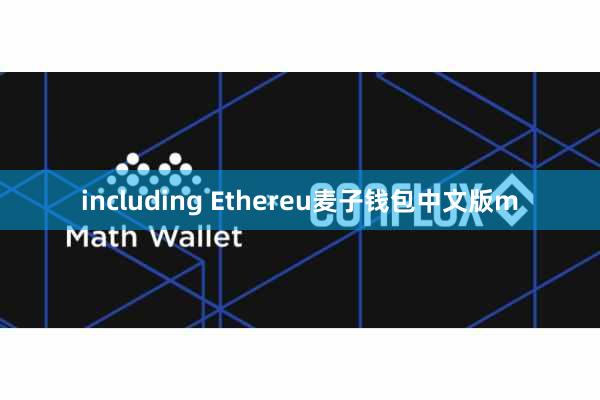 including Ethereu麦子钱包中文版m