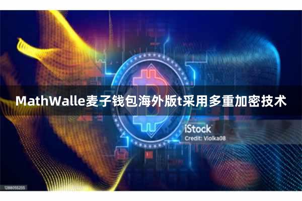 MathWalle麦子钱包海外版t采用多重加密技术