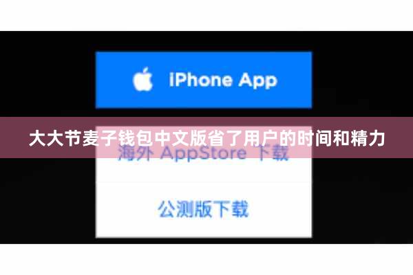 大大节麦子钱包中文版省了用户的时间和精力