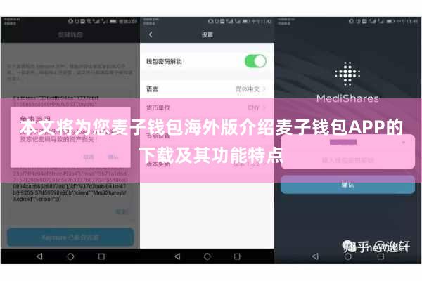 本文将为您麦子钱包海外版介绍麦子钱包APP的下载及其功能特点