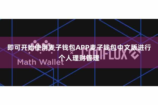 即可开始使用麦子钱包APP麦子钱包中文版进行个人理财管理