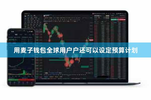 用麦子钱包全球用户户还可以设定预算计划
