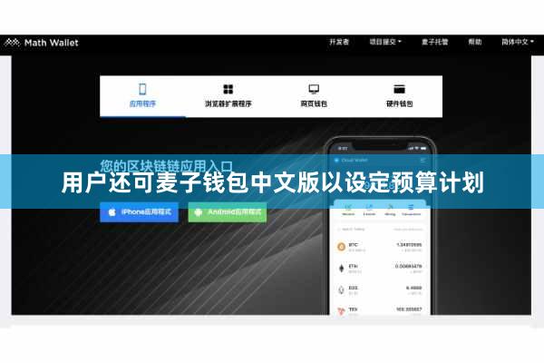用户还可麦子钱包中文版以设定预算计划