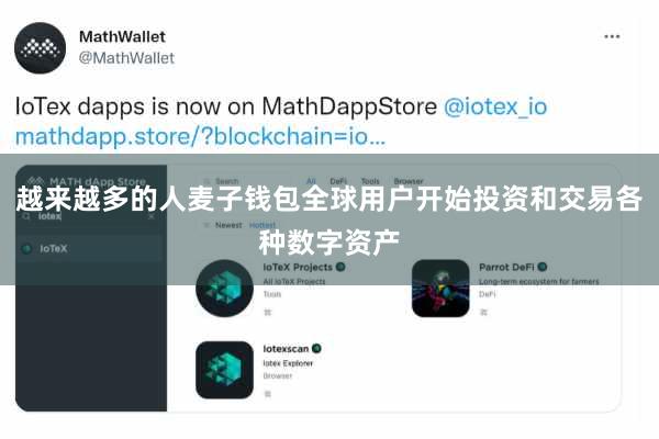 越来越多的人麦子钱包全球用户开始投资和交易各种数字资产