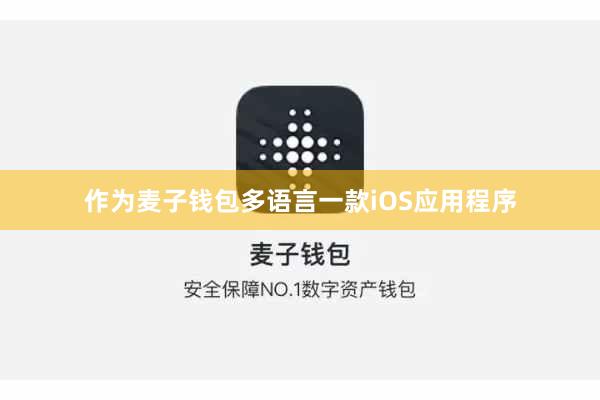 作为麦子钱包多语言一款iOS应用程序