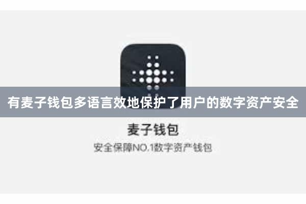 有麦子钱包多语言效地保护了用户的数字资产安全