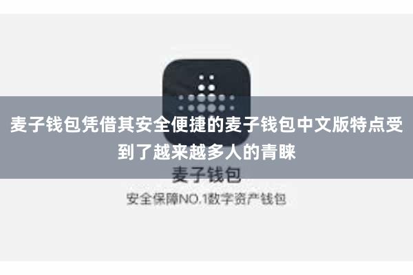 麦子钱包凭借其安全便捷的麦子钱包中文版特点受到了越来越多人的青睐