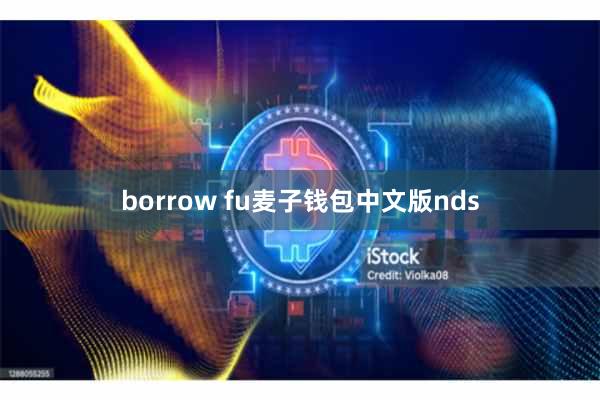 borrow fu麦子钱包中文版nds