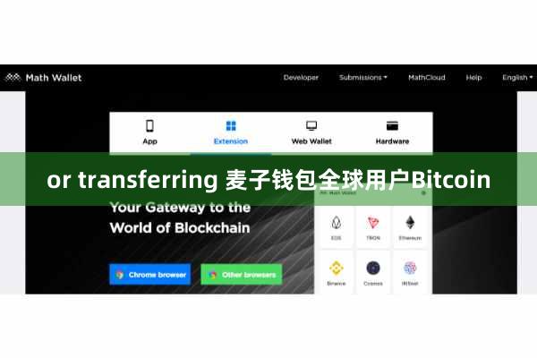 or transferring 麦子钱包全球用户Bitcoin