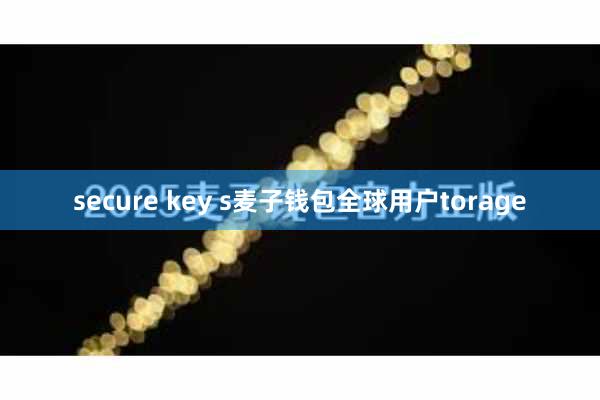 secure key s麦子钱包全球用户torage