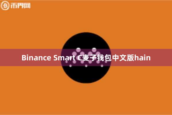 Binance Smart C麦子钱包中文版hain
