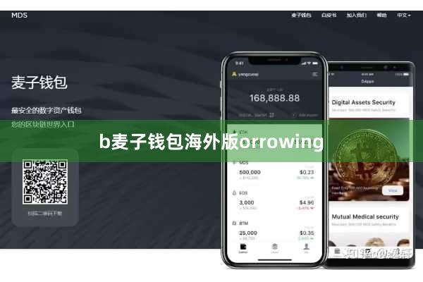 b麦子钱包海外版orrowing