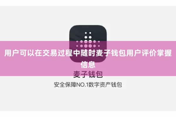 用户可以在交易过程中随时麦子钱包用户评价掌握信息