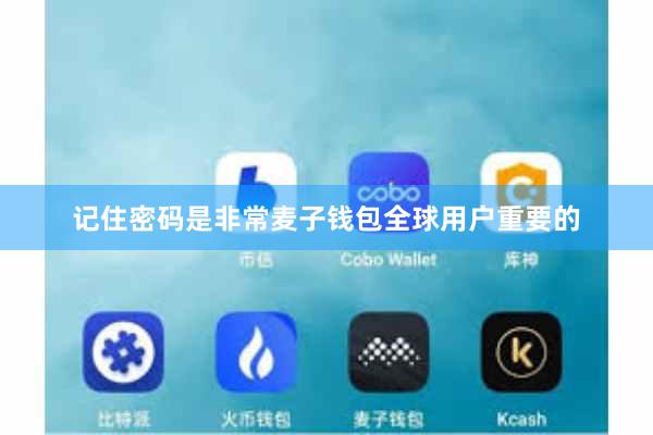 记住密码是非常麦子钱包全球用户重要的