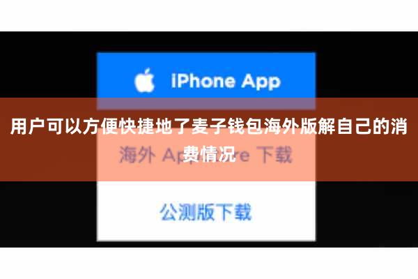 用户可以方便快捷地了麦子钱包海外版解自己的消费情况