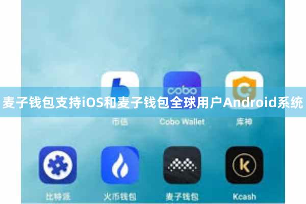 麦子钱包支持iOS和麦子钱包全球用户Android系统