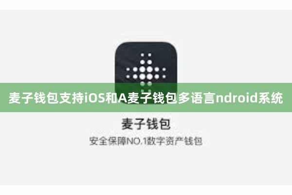 麦子钱包支持iOS和A麦子钱包多语言ndroid系统