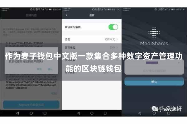 作为麦子钱包中文版一款集合多种数字资产管理功能的区块链钱包